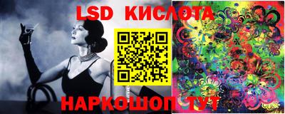 ПСИЛОЦИБИНОВЫЕ ГРИБЫ Гатчина