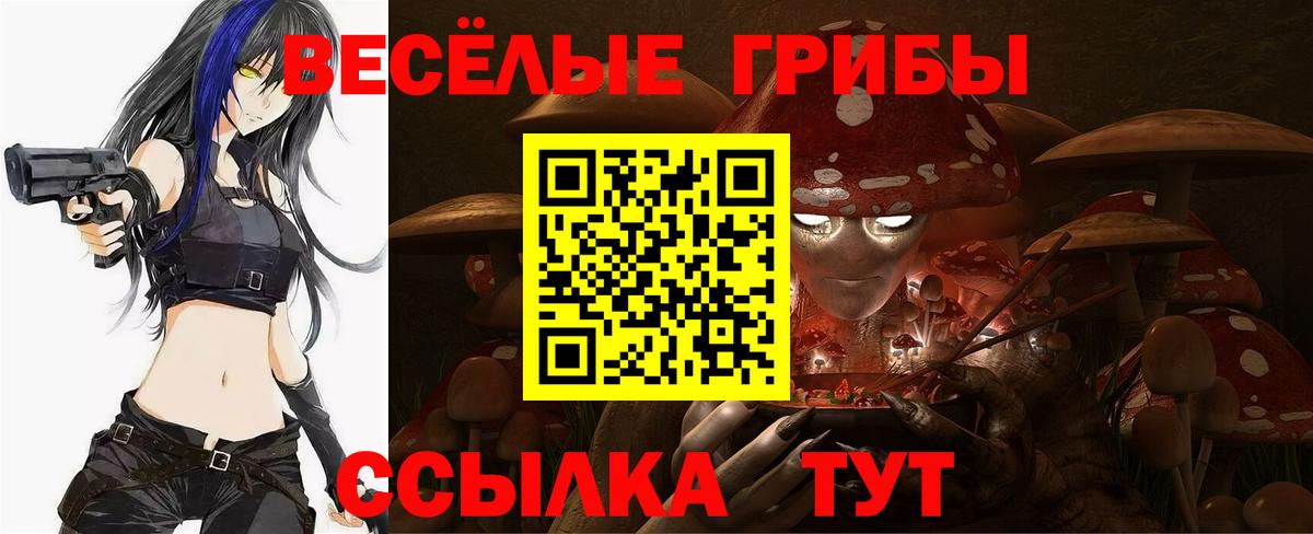 Ливны  Галлюциногенные грибы GOLDEN TEACHER  наркошоп  Вход с VPN 